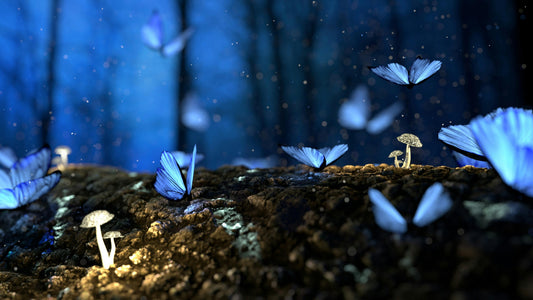 The Alchemy of Working With Your Dreams: A Guide to Unlocking Nighttime Wisdom