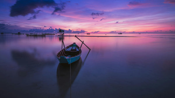 The Art of Intentional Living: What It Really Means to Curate Your Life