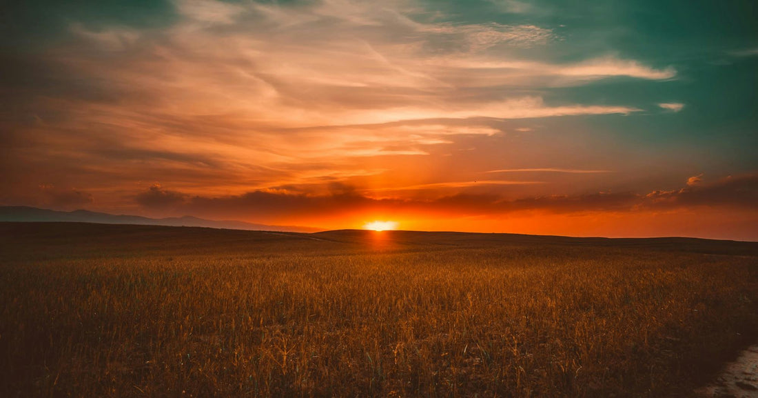 Evening Reflection: Journaling for Rest & Clarity